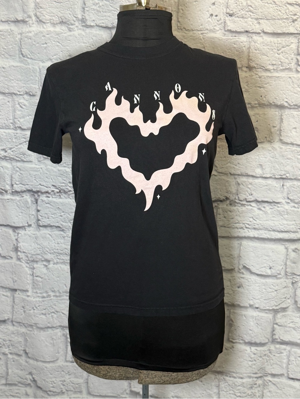 Size Small Comfort Colors Tour Shirt for the Band Cannons!